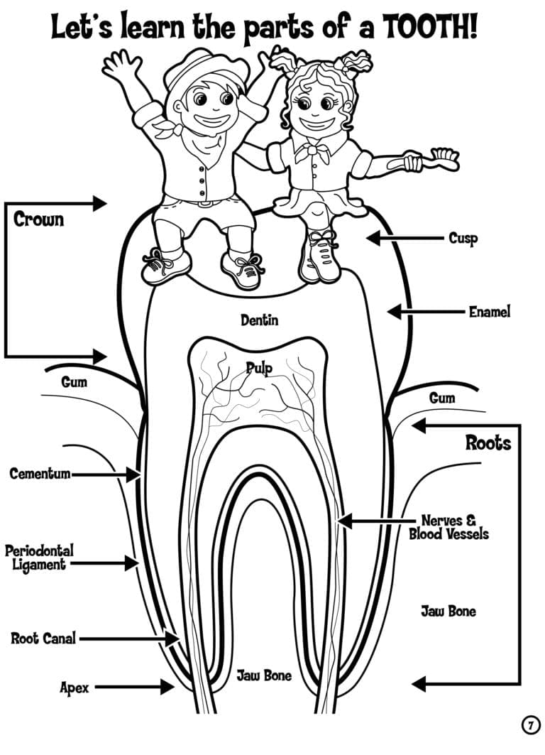 Kid's Corner - Johnston Dental Care LLC